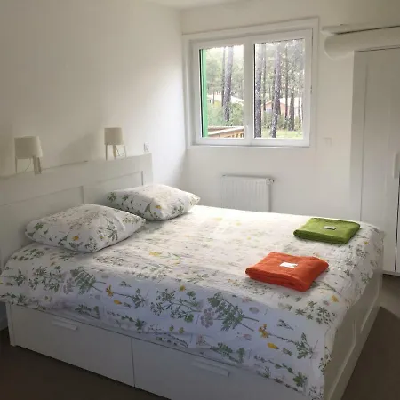 Nature Apartment